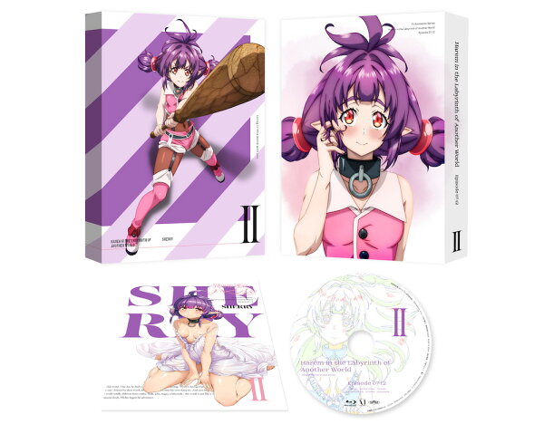 楽天ブックス: 異世界迷宮でハーレムを Blu-ray BOX 下巻【Blu-ray 