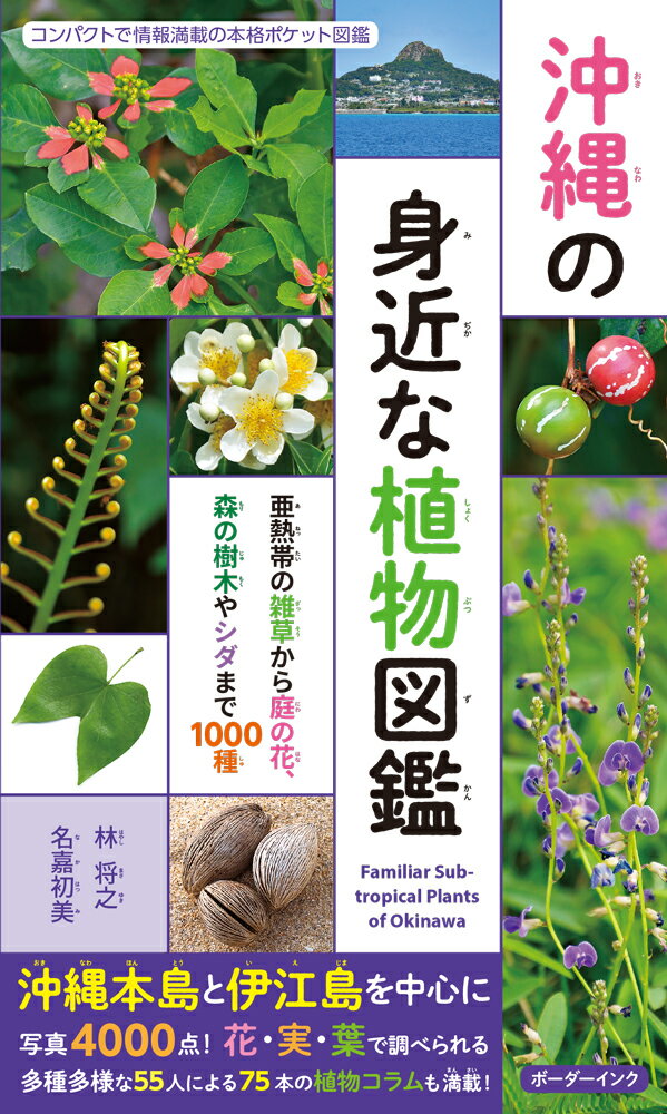 楽天ブックス 沖縄の身近な植物図鑑 亜熱帯の雑草から庭の花 森の樹木やシダまで1000種 林将之 本