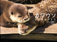 カワウソ [ 佐藤　淳一 ]