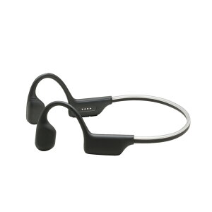 �wSKULL RESOUND�x ���`��Bluetooth �C���z�� TA-SR1 �C���f�B�A���u���b�N