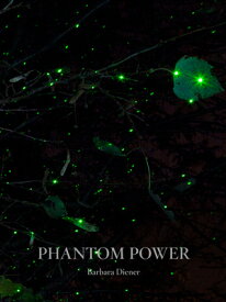 Phantom Power PHANTOM POWER [ Barbara Diener ]