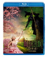 ウィキッド ふたりの魔女 スペシャル・プライス【Blu-ray】 [ ジョン・M・チュウ ]