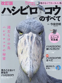 楽天ブックス ハシビロコウのすべて 改訂版 今泉忠明 本