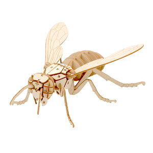 ł |PbgoOY09 IIXYo` y664075z (gLbg)