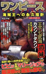 ワンピース海賊王への永久指針