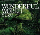 WONDERFUL WORLD