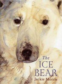 The Ice Bear ICE BEAR [ Jackie Morris ]