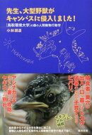 先生、大型野獣がキャンパスに侵入しました!