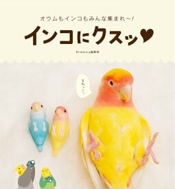 楽天市場 インコ 写真集の通販