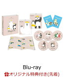 【楽天ブックス限定先着特典+先着特典】TVアニメしろくまカフェ10周年記念全話見Blu-ray BOX【Blu-ray】(缶ミラー4…