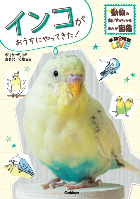 楽天ブックス: インコがおうちにやってきた！ - 海老沢和荘 