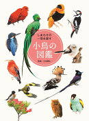 しあわせの一羽を探す小鳥の図鑑