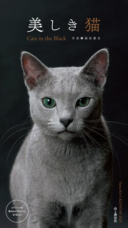 美しき猫Cats in the Blackカレンダー(2020)