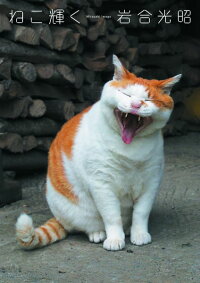 岩合光昭写真集 ねこ輝く　ニッポンの猫写真集
