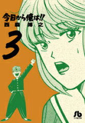 今日から俺は！！（3）