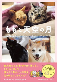 ももと天空の月　犬猫4きょうだいと暮らしています （2） [ ももと天空の月 ]