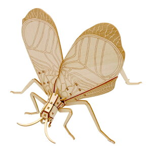 ł |PbgoOY13 XYV y664164z (gLbg)