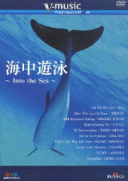 楽天ブックス: virtual trip 北海道・夏 【Blu-ray】 - (BGV  