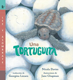 Una Tortuguita: Read and Wonder SPA-TORTUGUITA （Read and Wonder） [ Nicola Davies ]