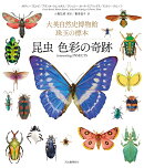 昆虫　色彩の奇跡