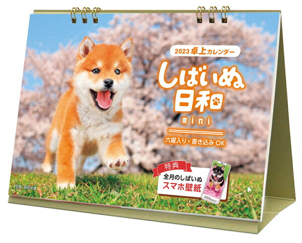 楽天ブックス しばいぬ日和 Mini 森田米雄 本 楽天ブックス しばいぬ日和 Mini 森田米雄 本