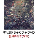 【先着特典】USOTSUKI (初回盤B＋CD＋DVD)(USOTSUKIステッカー（全3種よりランダム1種）)