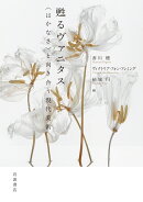 甦るヴァニタス