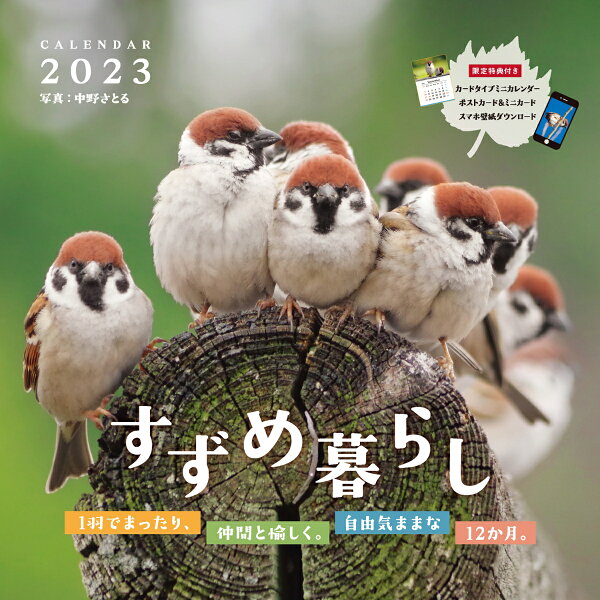 楽天ブックス すずめ暮らし 中野さとる 本