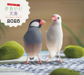 2025年カレンダー かわいい文鳥 （誠文堂新光社カレンダー） [ 伊藤 美代子 ]