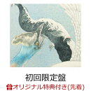 【楽天ブックス限定先着特典】儚くも美しき12の変奏 (初回限定盤 CD＋DVD)(アクリルキーホルダー(5cm角))