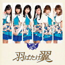 羽ばたけ翼