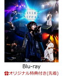 【楽天ブックス限定先着特典】千葉翔也 1st Live 2025「Living Streak」TOKYO INTERNATIONAL FORUM-LIVE Blu-ray-【Blu-ray】(A4クリアポスター)