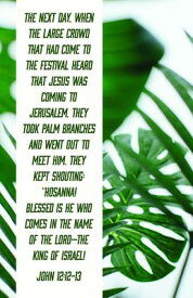 Palm Sunday Bulletin: Blessed Is the King of Israel (Package of 100): John 12:12-13 (Csb) PALM SUNDAY BULLETIN BLESSED I [ Broadman Church Supplies Staff ]