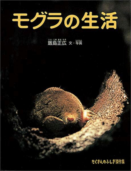 楽天ブックス: モグラの生活 - 飯島正広 - 9784834024906 : 本