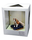 1/12 みにちゅアニマル ねこ 和室の情景 メイ 【CATA-1】 (レジンストーン製情景フィギュア)