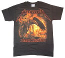 【Tシャツ】 Metallica ／ Raven （S）_ts販