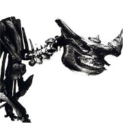 楽天ブックス Mr Children ストア