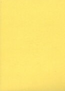 重修　緯書集成　3　詩・礼・楽