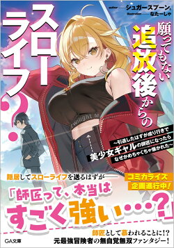 願ってもない追放後からのスローライフ？　〜引退したはずが成り行きで美少女ギャルの師匠になったらなぜかめちゃく…
