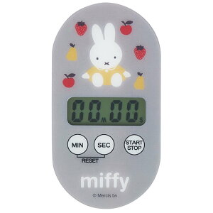 ~btB[@LN^[ NbLO^C}[ KTM1