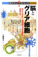 脳とグリア細胞
