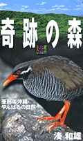 奇跡の森亜熱帯沖縄・やんばるの自然