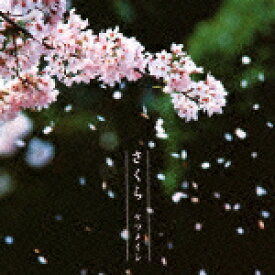 楽天市場 サクラ ケツメイシの通販