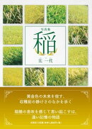 写真集　稲