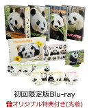 【楽天ブックス限定先着特典】ごろごろパンダ日記 コンプリートBlu-ray BOX(アクリルスタンド付き初回限定版)【Blu-ray】(アクリルキーホルダー+ポストカード4枚セット)
