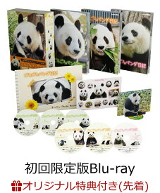 【楽天ブックス限定先着特典】ごろごろパンダ日記 コンプリートBlu-ray BOX(アクリルスタンド付き初回限定版)【Blu-ray】(アクリルキーホルダー+ポストカード4枚セット)