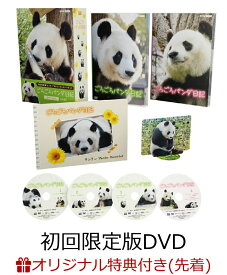 【楽天ブックス限定先着特典】ごろごろパンダ日記 DVD BOX(アクリルスタンド付き初回限定版)(アクリルキーホルダー+ポストカード4枚セット)