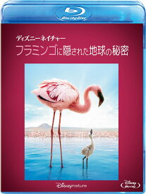 ディズニーネイチャー／フラミンゴに隠された地球の秘密【Blu-ray】 [ マシュー・エバーハード ]