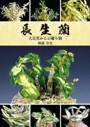 長生蘭　大自然からの贈り物