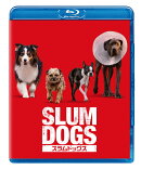 スラムドッグス【Blu-ray】